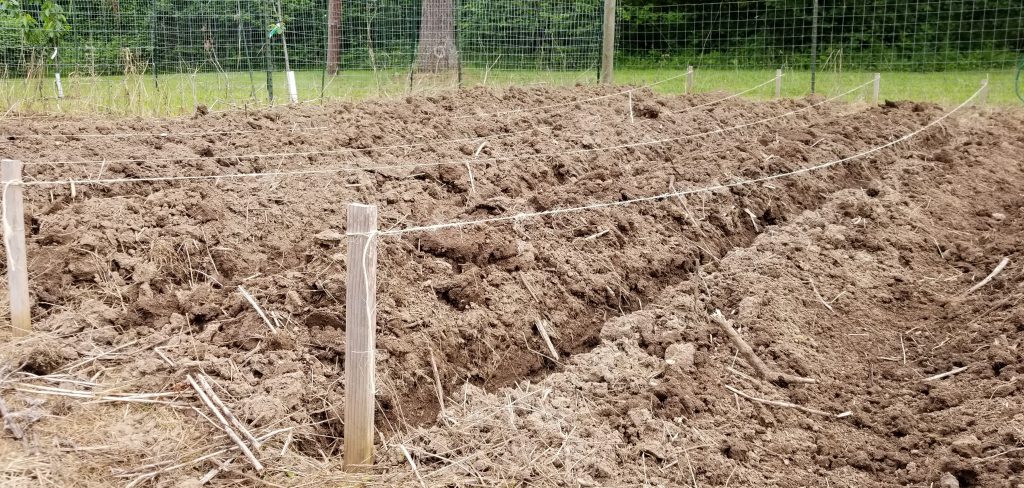 Stakes in the garden